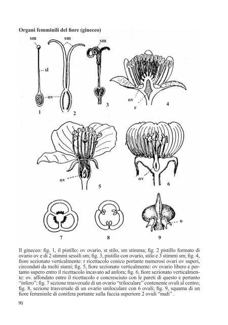 dizionario botanico.pdf