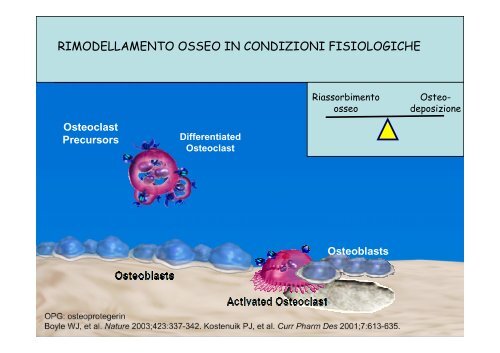 differenziamento in vitro di cellule ossee