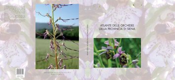 Atlante delle orchidee della Provincia di Siena (dimensione: 6Mb)