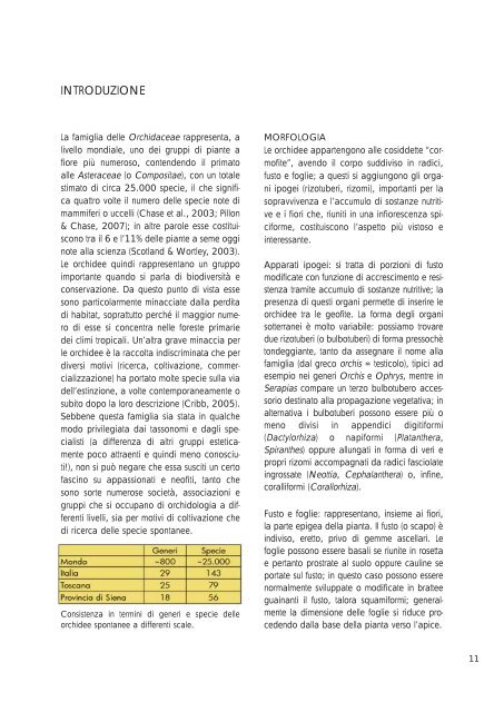 Atlante delle orchidee della Provincia di Siena (dimensione: 6Mb)