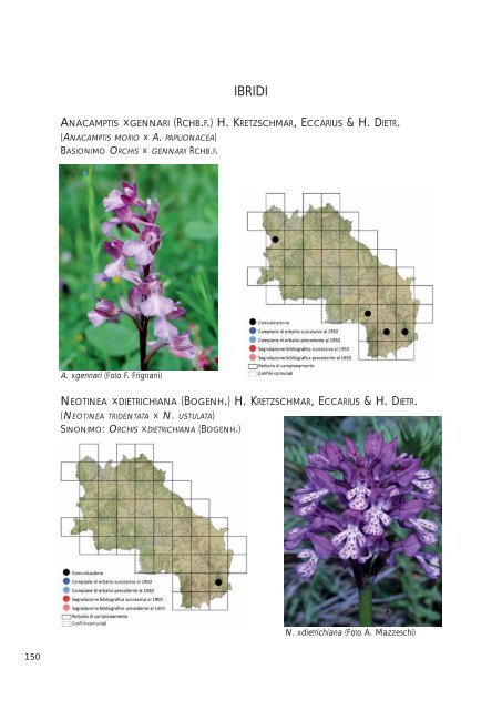 Atlante delle orchidee della Provincia di Siena (dimensione: 6Mb)