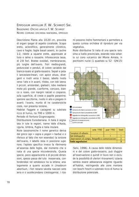 Atlante delle orchidee della Provincia di Siena (dimensione: 6Mb)