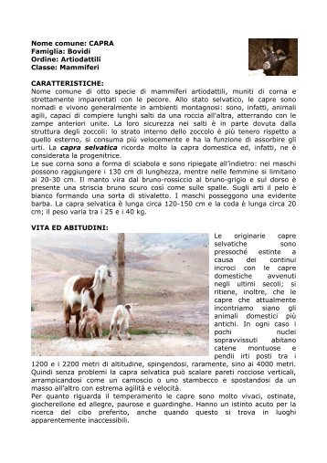 Nome comune: CAPRA SELVATICA (Inglese: wild goat) - PrimaLinea