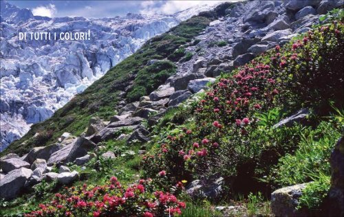 VALLE DI ChAMoNIx MoNT-BLANC