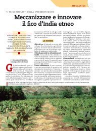 Meccanizzare e innovare il fico d'India etneo - Portale dell'innovazione