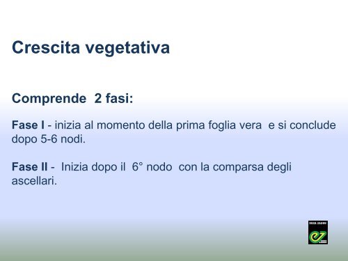 il cetriolo da insalata a 360