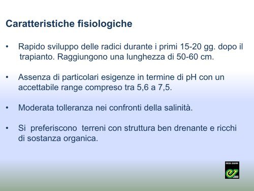 il cetriolo da insalata a 360