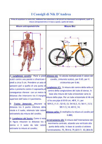 I consigli di Nicola D'Andrea per andare in bici.pdf - Ciclopress