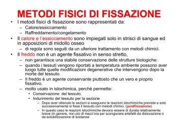 METODI FISICI DI FISSAZIONE