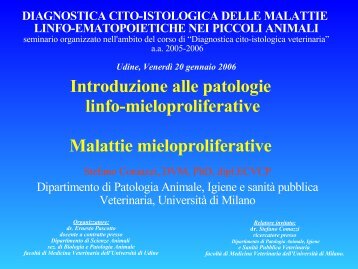 Introduzione alle patologie linfo-mieloproliferative - Università degli ...