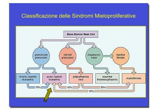 Leucemie e linfomi.pdf - Infermieristica Rimini