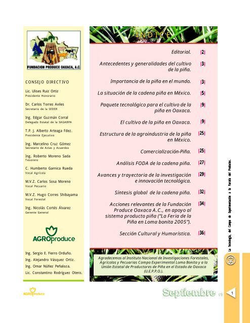 REVISTA piña - Portal OEIDRUS Oaxaca