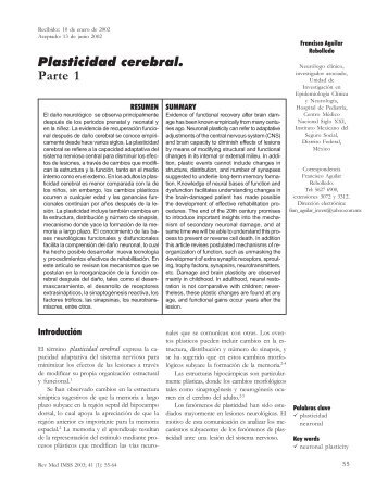 Plasticidad cerebral. Parte 1 - Grupos para Crecer