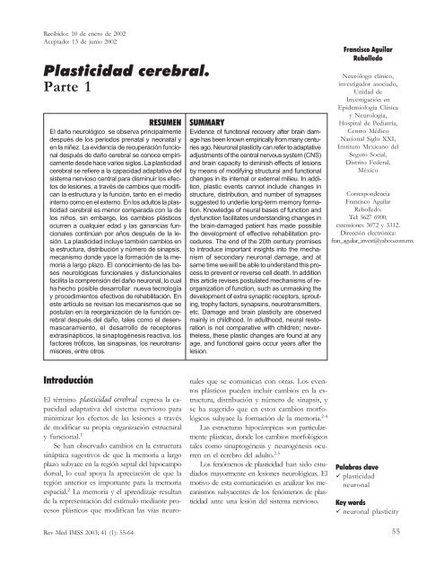 Plasticidad cerebral. Parte 1 - Grupos para Crecer