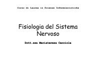 4. sistema nervoso