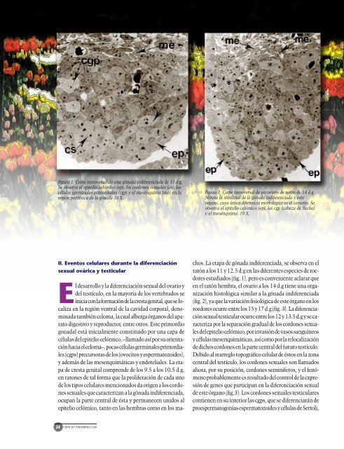 Septiembre-octubre - Revista Ciencia y Desarrollo - Conacyt