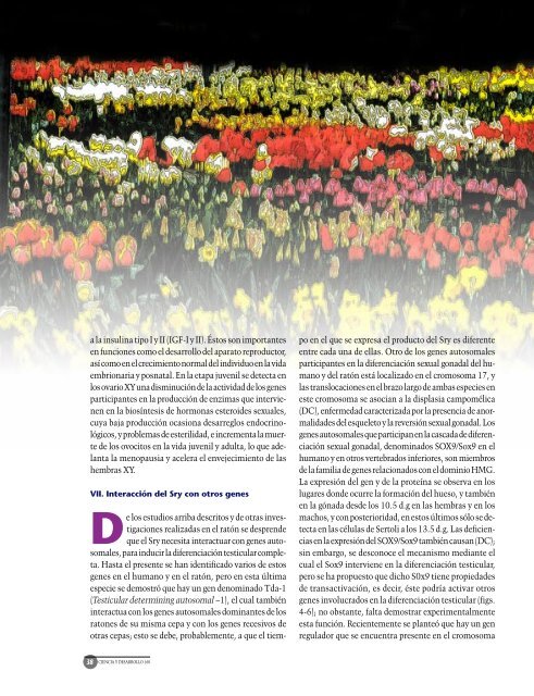 Septiembre-octubre - Revista Ciencia y Desarrollo - Conacyt