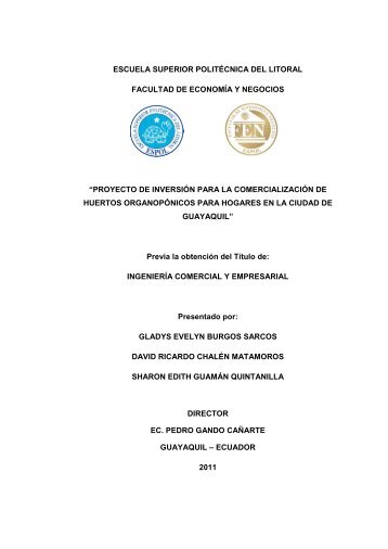 proyecto de inversión para la comercialización d - Cib - Escuela ...