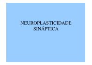 aula 10 neuroplasticidade - Univasf