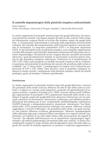 Il controllo dopaminergico della plasticità sinaptica ... - Limpe