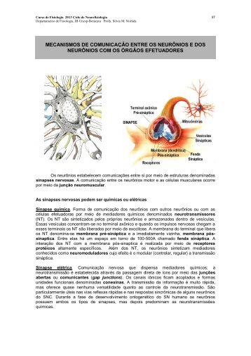 Mecanismos de Comunicação entre os neurônios e dos ... - Unesp