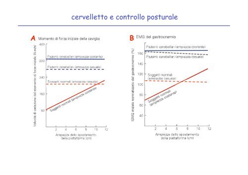 cellule di Purkinje