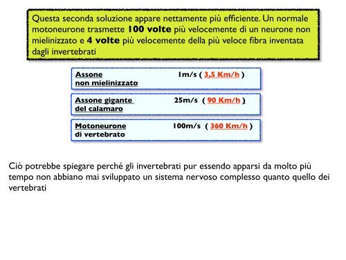 La conduzione del potenziale d'azione Monticolo assonico - CPRG