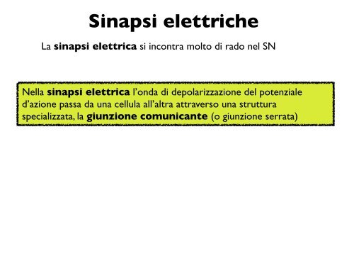 La conduzione del potenziale d'azione Monticolo assonico - CPRG