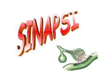 SINAPSI 2013.pdf