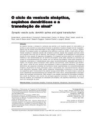 O ciclo da vesícula sináptica, espinhos dendríticos ea transdução de ...