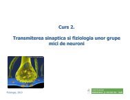 Curs 2. Transmiterea sinaptica si fiziologia unor grupe mici de neuroni