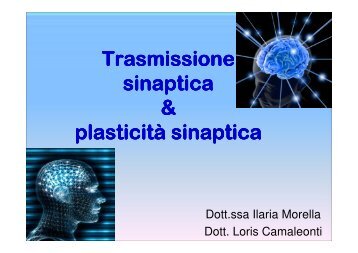 Trasmissione sinaptica & plasticit plasticità sinaptica sinaptica