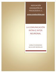 LA COMUNICACIÓN INTRA E INTER NEURONAL - Conductitlan