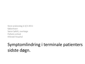 Symptomlindring i terminale patienters sidste døgn