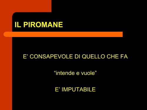 PSICOLOGIA DEL FUOCO E DEL PIROMANE - Marco Cannavicci