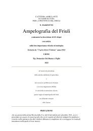 Ampelografia del Friuli (1923) - Rauscedo