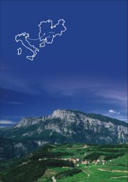 pdf download - A Trentino S.P.A.