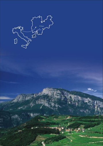 pdf download - A Trentino S.P.A.