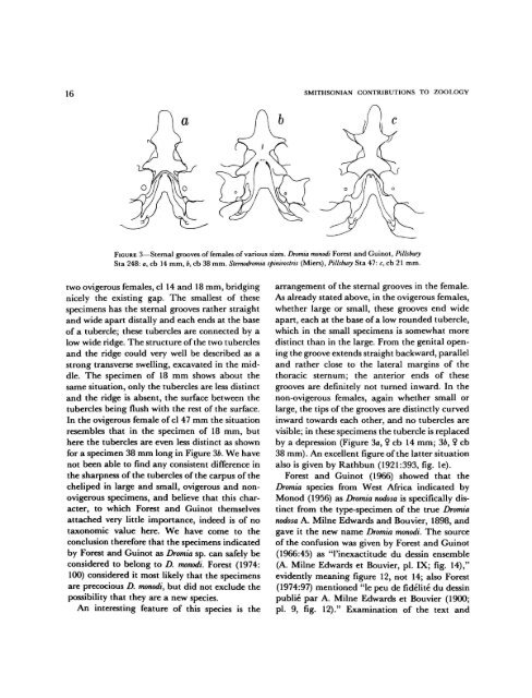 West African Brachyuran Crabs - Smithsonian Institution Libraries