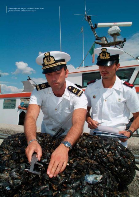 SEARIVER PORT - ASPO CHIOGGIA