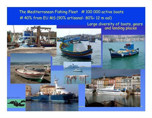 Il regolamento Mediterraneo per la pesca - Ice