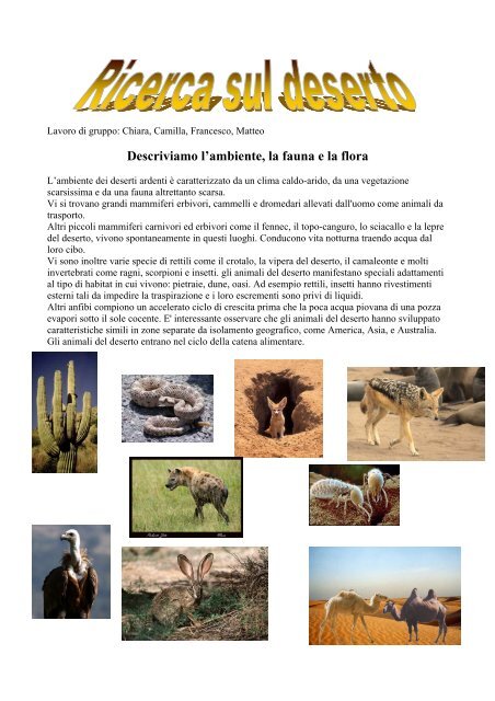 Risultato Immagini Per Ecosistema Ecosistema Immagini Storia