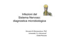 5 MED LAB MICRO - infezioni SNC meningite.pdf - Ch.unich.it