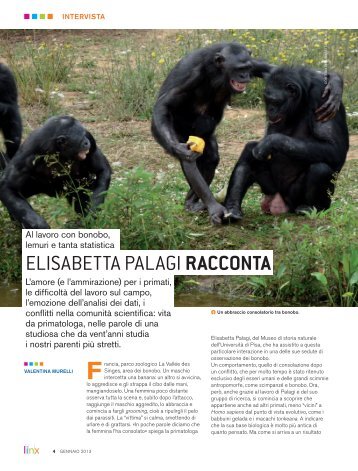 Scarica l'articolo completo in formato pdf - Linx Magazine