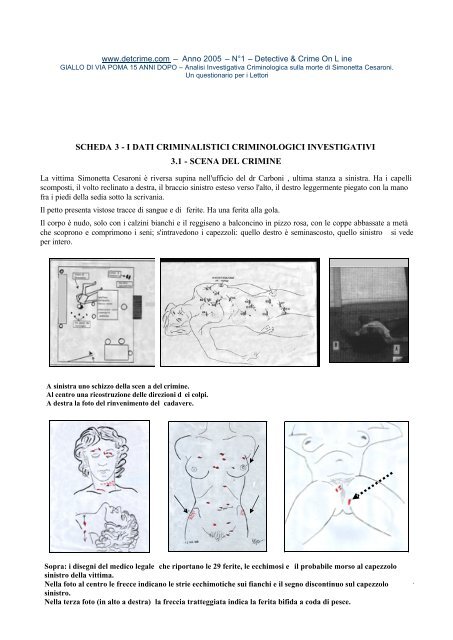 1 IL GIALLO 15 ANNI DOPO Analisi Investigativa ... - Serial killer