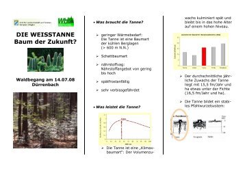 Exkursionsführer zur Tanne - Waldbesitzer.net