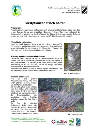 Mitgliederinfo "Forstpflanzen frisch halten" - Waldbesitzer.net