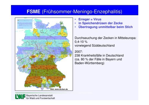 Eichenprozessionsspinner Zecke ... - Waldbesitzer.net