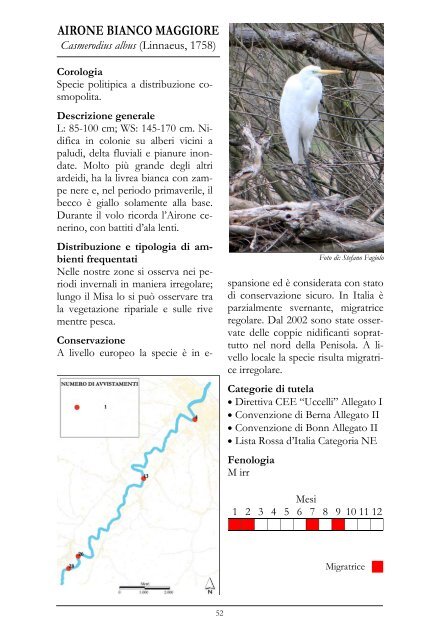 UN FIUME DI ALI - Studio Naturalistico Diatomea