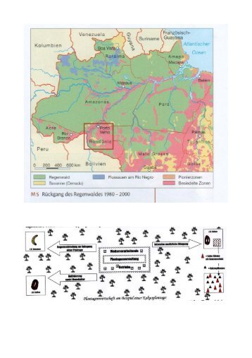 U.mat Regenwald 2.pdf